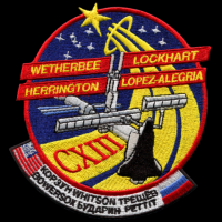 STS-113