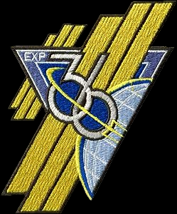 EXPEDITION 36 ORIGINAL MISSION PATCH